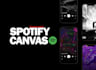 professionally create your spotify canvas