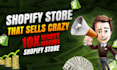 expert shopify developer, design, edit, build shopify dropshipping store website