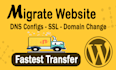 migrate wordpress website to new host, change domain name