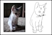 draw a minimal line art illustration from your photo