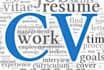 do professionally cv, resume writing and cover letter
