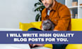 write SEO optimized blog posts for your website