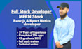 be mern stack or full stack developer