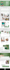 convert figma to html, sketch to html, psd to html, xd to html css bootstrap