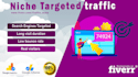 send your website niche targeted organic visitors