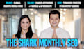 monthly SEO guest post package with contextual backlinks
