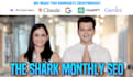 monthly SEO and GEO guest post package with contextual backlinks