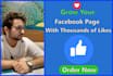 grow your page likes by facebook ads