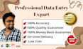 provide fast and accurate data entry, data mining, and web research