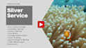 make lyric or music video editing use adobe premiere