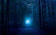 do a professional dream analysis and interpretation in depth