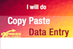 data entry copy paste