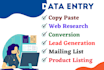 be your data entry and web research virtual assistant