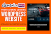 do professional wordpress website design and development
