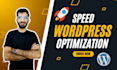 do wordpress speed optimization, increase page speed google pagespeed insights