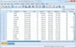 do data entry and data analysis in IBM spss