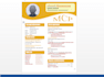 design premium quality resume and CV