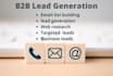 do b2b lead generation ,email list building and web research