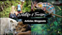 write wildlife, tourism, and travel articles, blog post