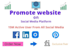 promote your website or any products on social media
