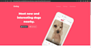 make you a intermediate custom website