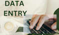 provide reliable data entry excel and web research services