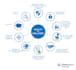 do information security compliance, risk assessment, vapt, isms, soc
