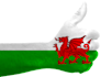 translate english to welsh and vice versa