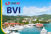 register bvi offshore company within 3 days