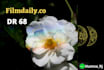 guest post on filmdaily co