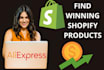 find shopify dropshipping winning products that sell