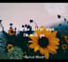 make a simple aesthetic lyric video in 24 hours
