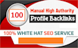 build 100 plus high authority SEO profile backlinks manually