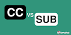 burn subtitles into your video