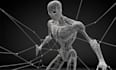 create biped human animation for retargeting in iclone and other programs