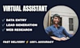 do 3 hour data entry of any project