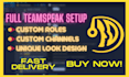 setup your teamspeak server professionally