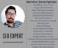 do monthly on page seo service for website pages and products