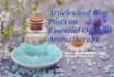 write SEO optimized content on essential oils and ayurveda