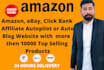 build amazon affiliate autopilot website with top selling products