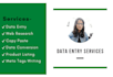 do all data entry work for you