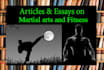 write expert martial arts, MMA, and fitness blog posts or articles