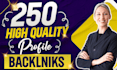 build 250 high quality profile backlinks with high da pa