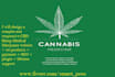 design and develop automated  cbd cannabis marijuana website