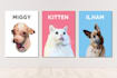 make pets vector cartoon