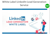 provide white label linkedin lead generation service