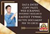 do data entry in low price