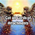 cut all cords of attachments