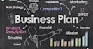 write a professional business plan with 5 year forecasts