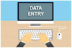be your high speed typer virtual assistant for data entry